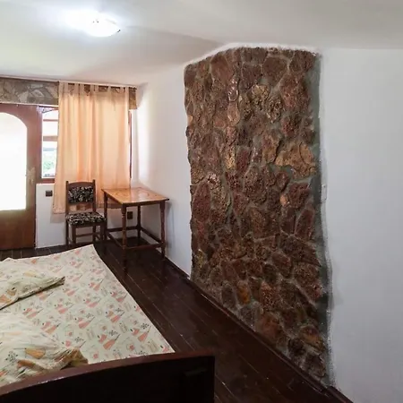 Pensionat Casa Didina