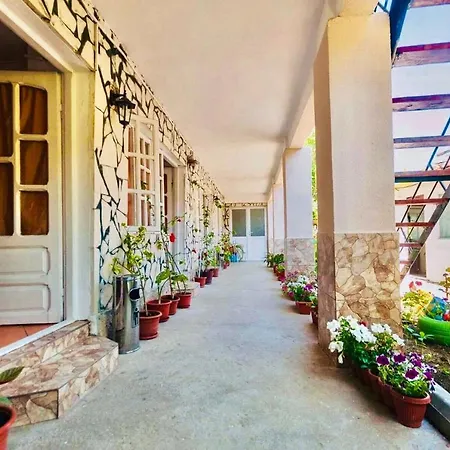 Pensionat Casa Didina Vama Veche