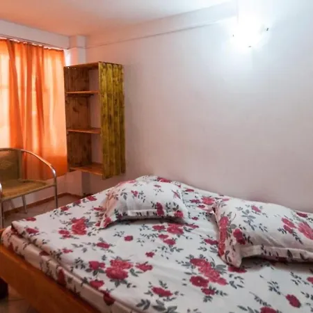Pensiune Casa Didina *