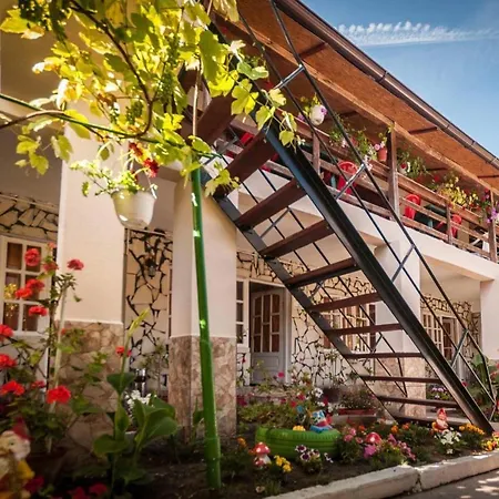 Casa Didina Pensiune *