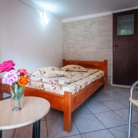 Casa Didina Pensiune Vama Veche